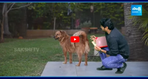 Garam Garam Rajesh Hilarious Conversation With Street Dogs 1