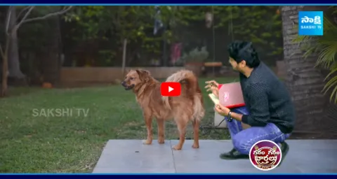 Garam Garam Rajesh Hilarious Conversation With Street Dogs4