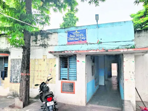సర్వే