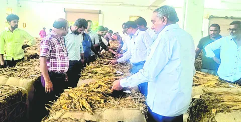 పెద్దదోర్నాలలో ‘హ్యూజ్‌’ మనీ స్కాం 
