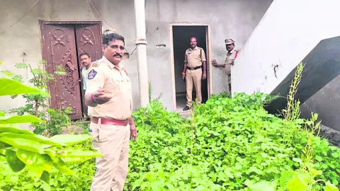 విద్య