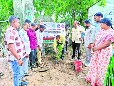 కంకవనాల నర్సరీకి సన్నాహాలు