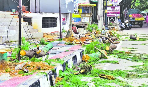 ఇక అటవీ శాఖ ముద్ర