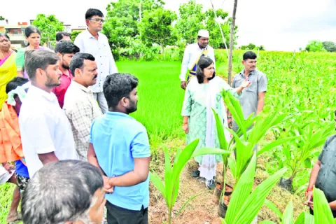 ‘పనుల జాతర’ ముమ్మరం చేయండి 