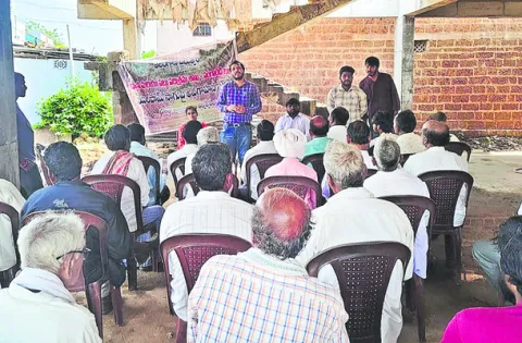 ఆయిల్‌ పామ్‌తో అధిక లాభాలు 