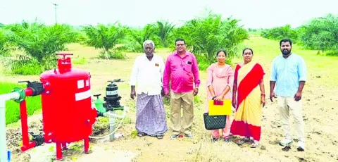 విద్య