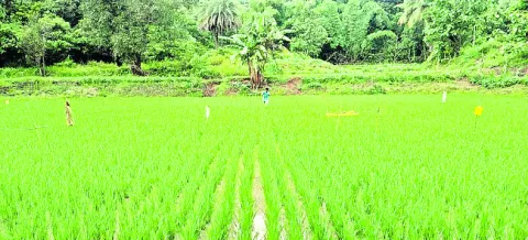 ప్రకృ