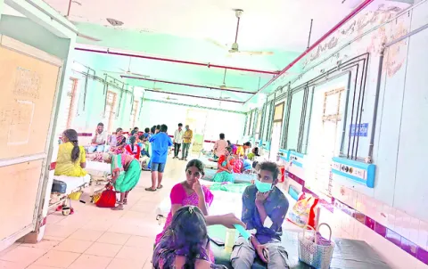 డెంగీ.. పంజా