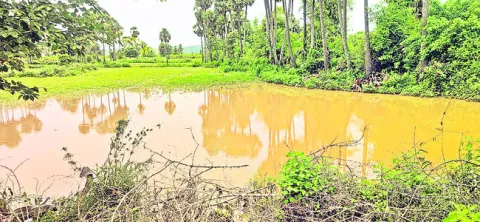వర్షం