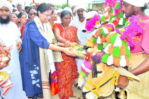 సంస్కృతిని భావితరాలకు అందించాలి 
