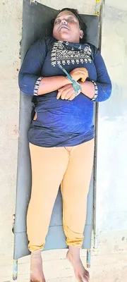 కృష్ణ