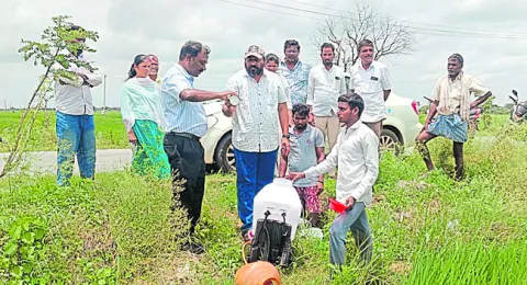 నానోతో అధిక ప్రయోజనాలు