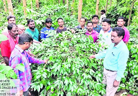 సస్యరక్షణతోఅధిక దిగుబడులు
