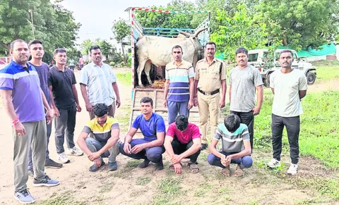 అక్రమంగా తరలిస్తున్న   పశువుల పట్టివేత