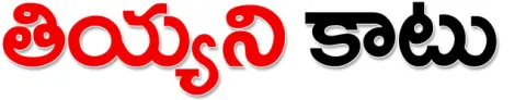ఇన్సు