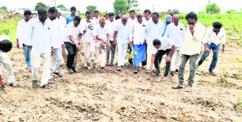 బాధిత రైతులను ఆదుకోవాలి
