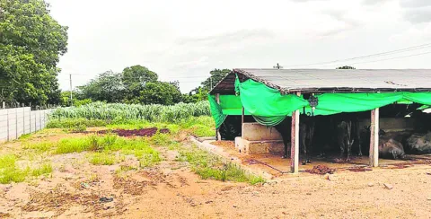హత్య కేసు.. కొత్తమలుపు! 