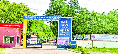 నవోదయ