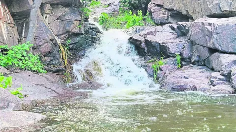 కనువి