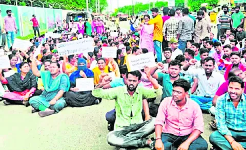 సర్టిఫికెట్ల పరిశీలనలో గందరగోళం