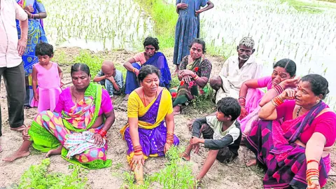 బావిల
