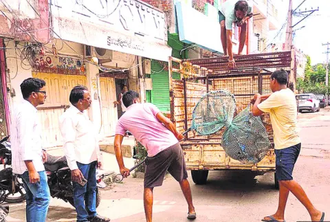 శునకాల్లో ‘నియంత్రణ’ అంతంతే