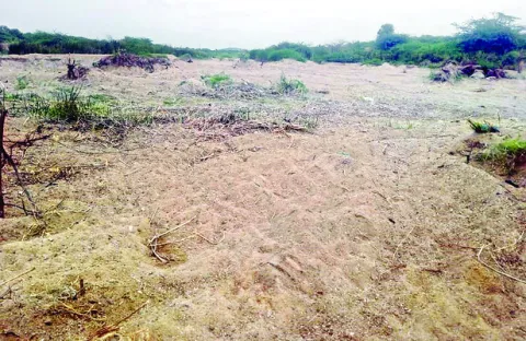తోడుకున్నోళ్లకు తోడుకున్నంత