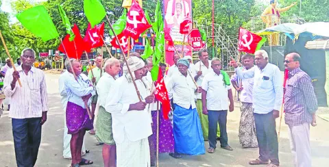 నల్లబర్లీ పొగాకు పూర్తిగా కొనుగోలు చేయాలి 