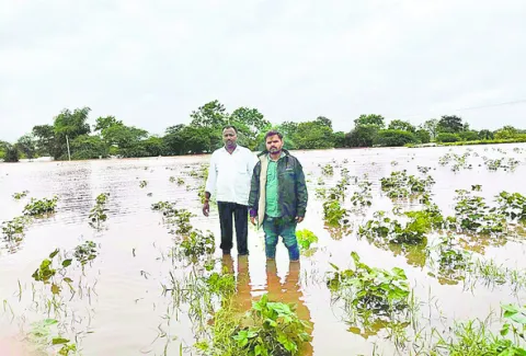 రైతుల