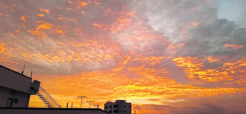 సువర్