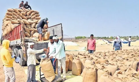 బోనస్