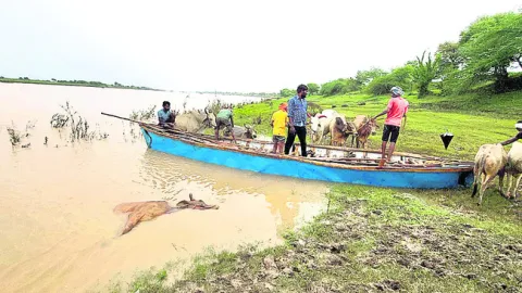 మూగ వ