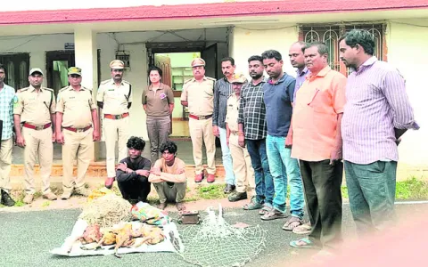 రైలు 