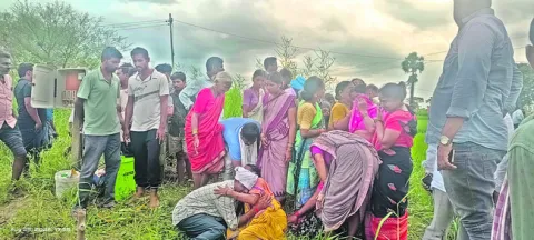విద్య
