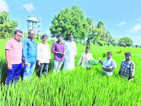 డీజే 