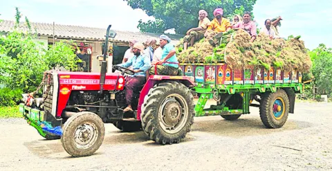 ‘వర్రీ’ నారు!