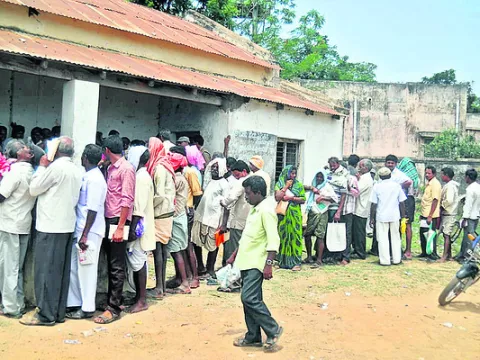 వనామీ