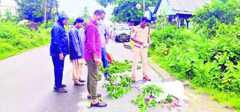 రోడ్డ