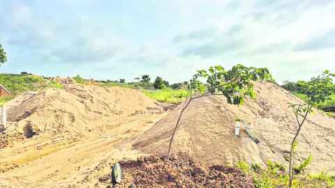 టన్నుకు రూ. 1200