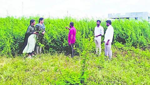 ఆదర్శ రైతుకు అభినందన 