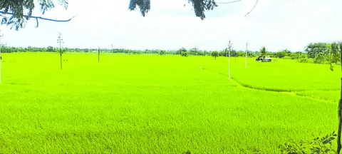 జలసిరి.. సాగుకు ఊపిరి