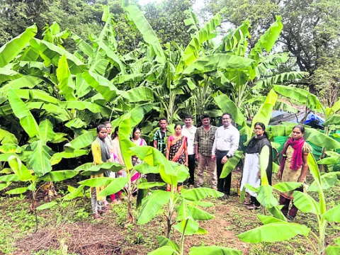 రైతుల అభ్యున్నతికి కృషి 