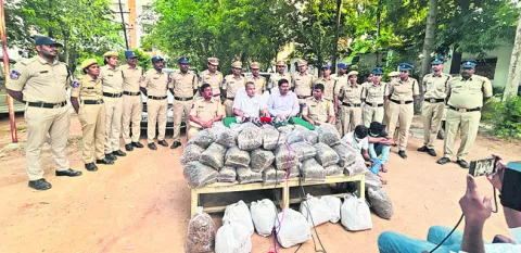 63 లక్షల గంజాయి పట్టివేత 