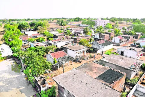 నోటిఫ
