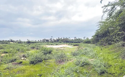 Reservoirs reach 75 percent capacity due to heavy rains in Telangana
