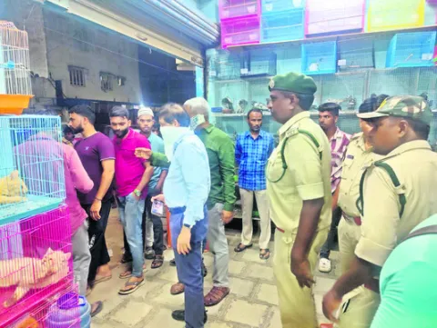 అటవీ పక్షులు పెంచుతున్న ముగ్గురిపై కేసు