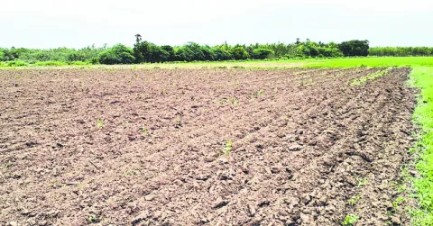 చౌటపాలెంలో తమ్ముళ్ల దౌర్జన్యం 