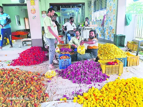 పువ్వులు, పండ్ల ధరకు రెక్కలు 