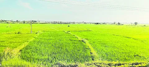 కళకళ