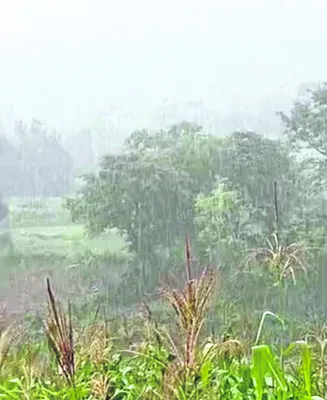రాగల ఐదు రోజుల్లోమోస్తరు వర్షాలు
